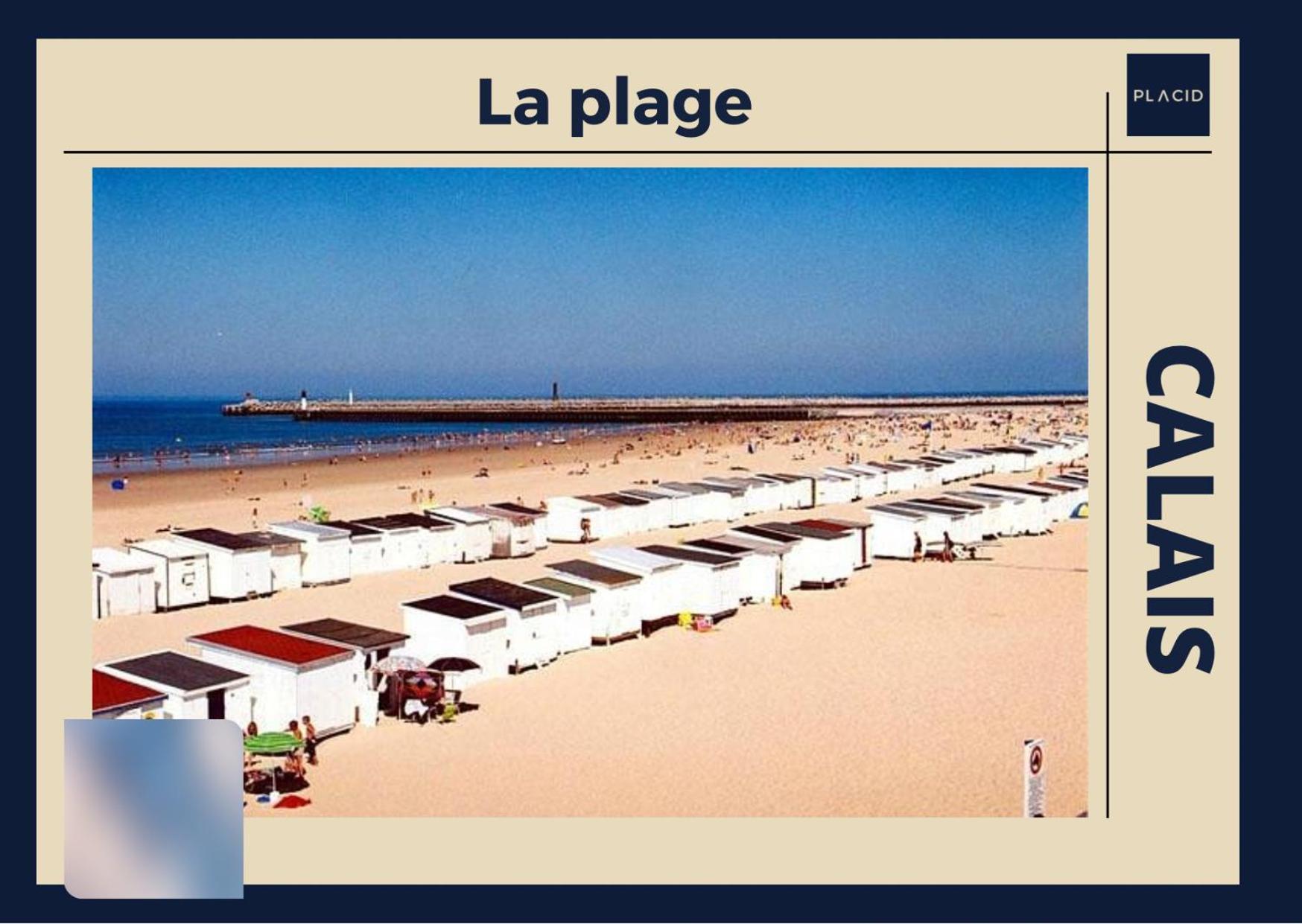 * Le Droma D'Or * Appartement Confort * Centre-Ville Calais Eksteriør billede